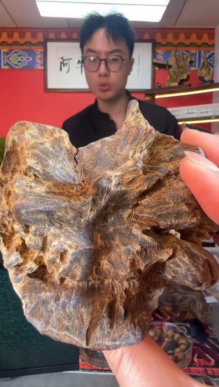 沉香手把件z37富森多样性发一