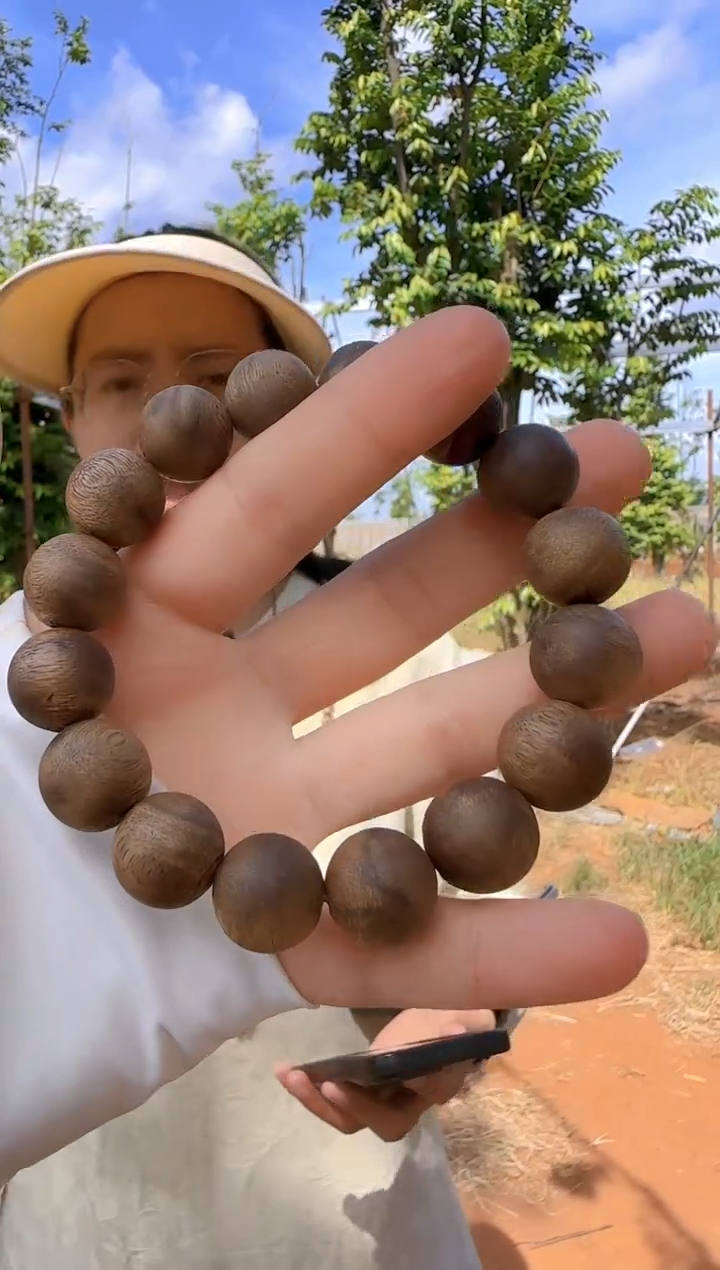 手串沉香海南绿奇楠乌身虫漏1.5单圈多样性发一