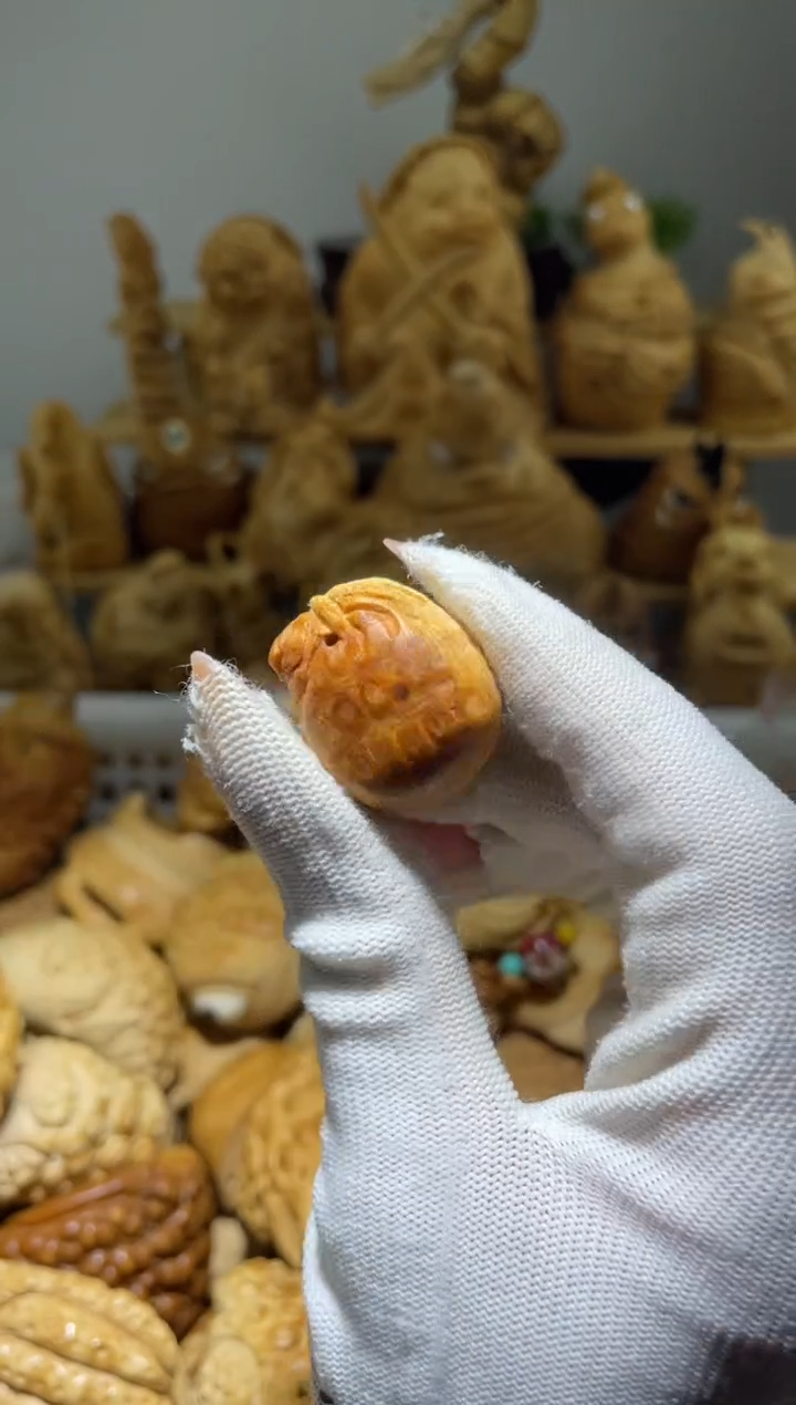 竹?***?钱袋子11111111