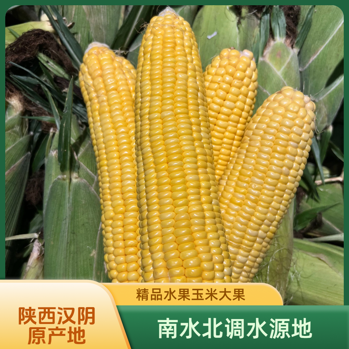汉阴水果甜玉米超市精品大果新鲜甜脆可生吃带皮带壳带玉米须