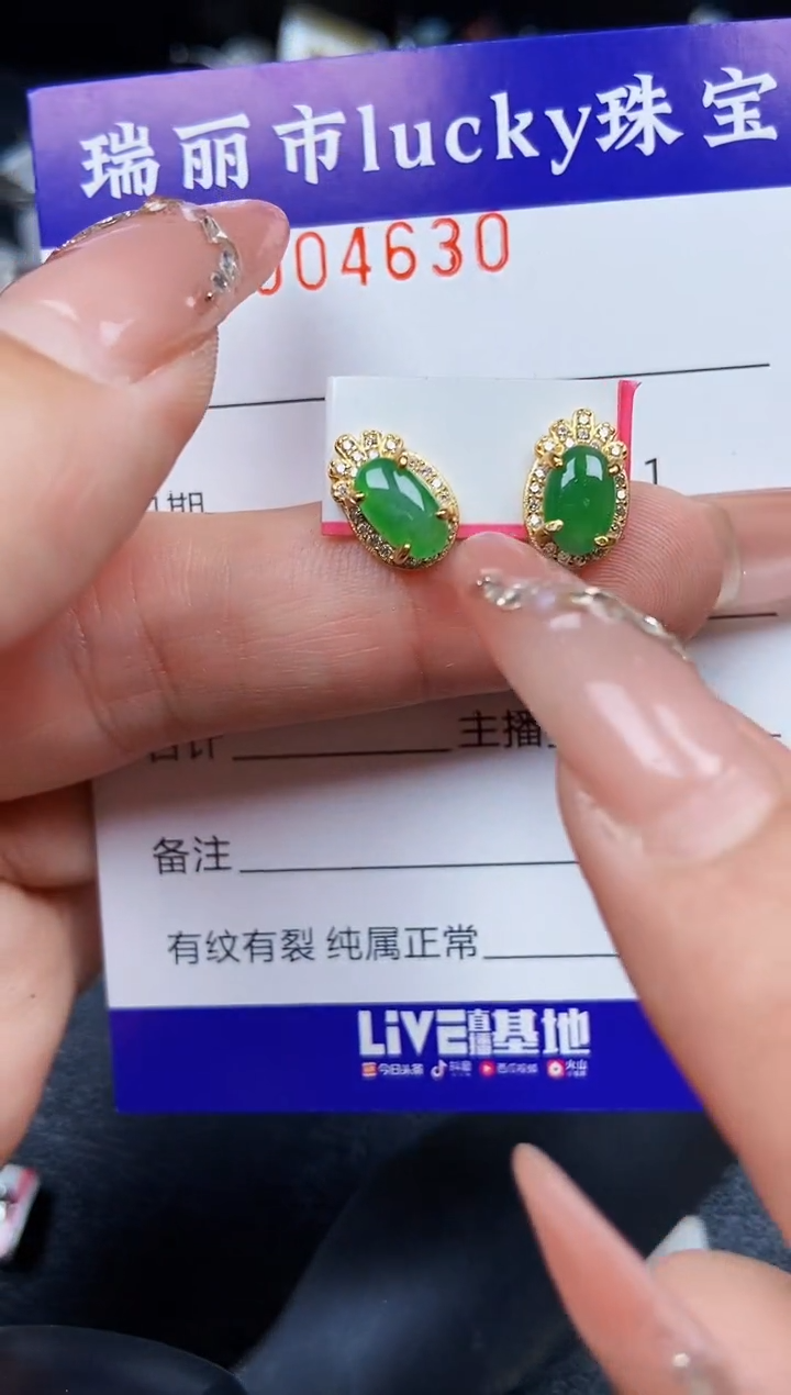 翡翠银S925镶嵌颈饰4630