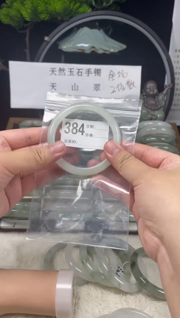 未镶嵌手镯石英质玉（天山翠）384