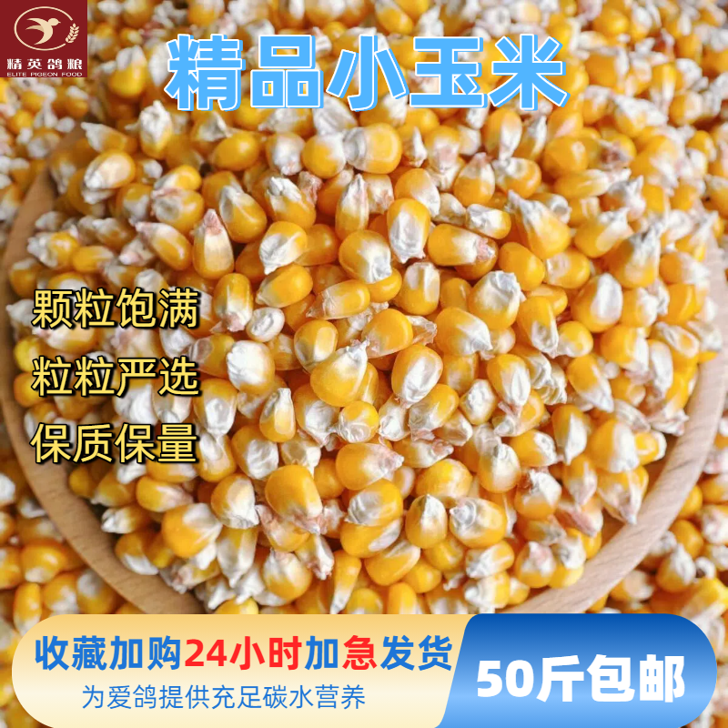 2025年新玉米粒精选小中颗粒鸽粮喂鸽子专用50斤包邮