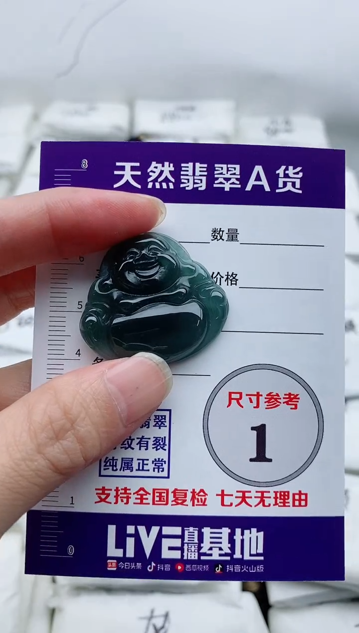 颈饰未镶嵌翡翠8