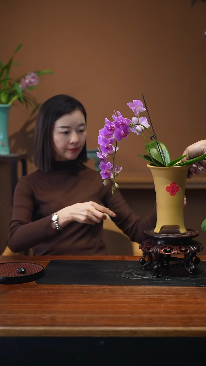 全部花朵粉珠帘紫砂盆景盆景盆景