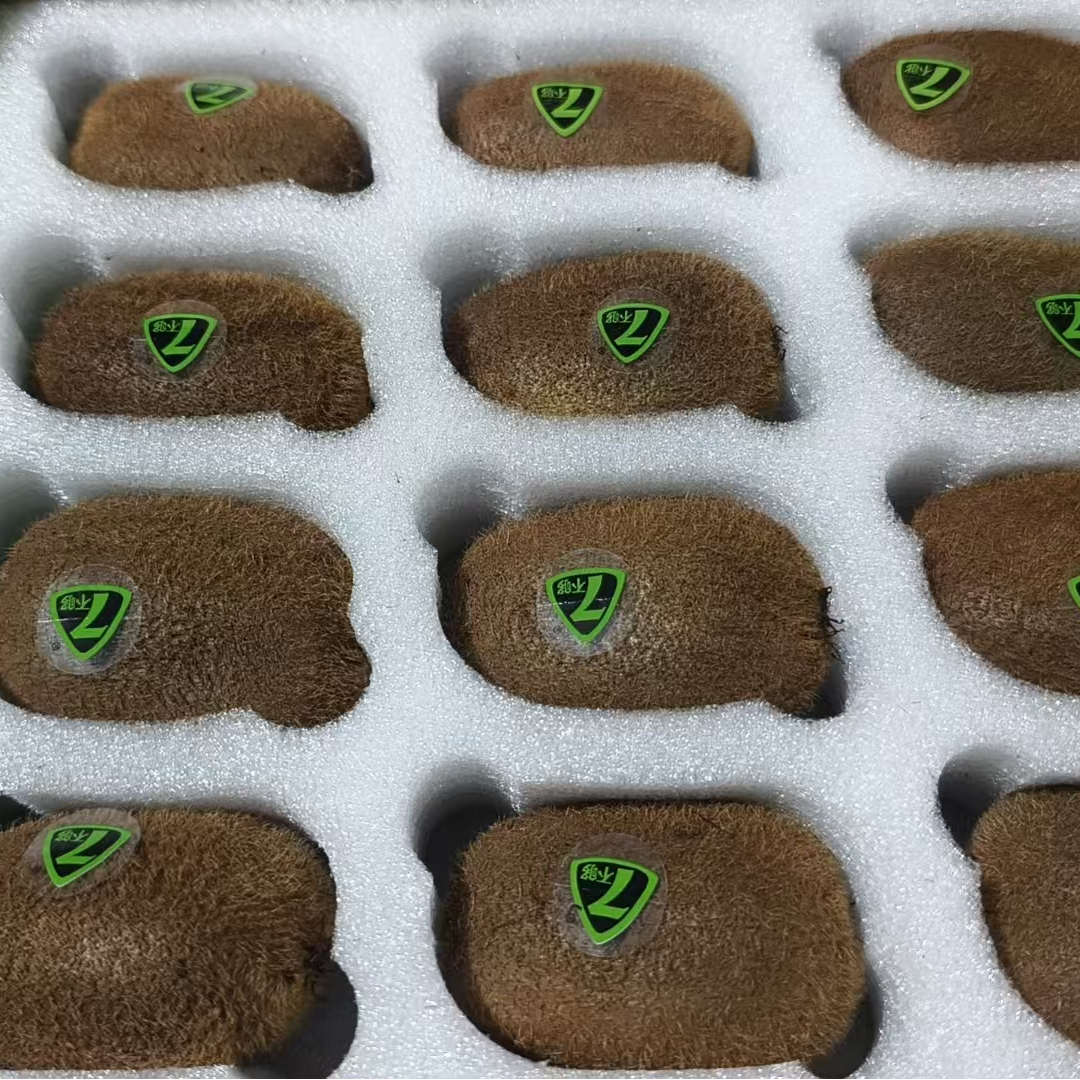 七不够修文猕猴桃带箱2斤左右