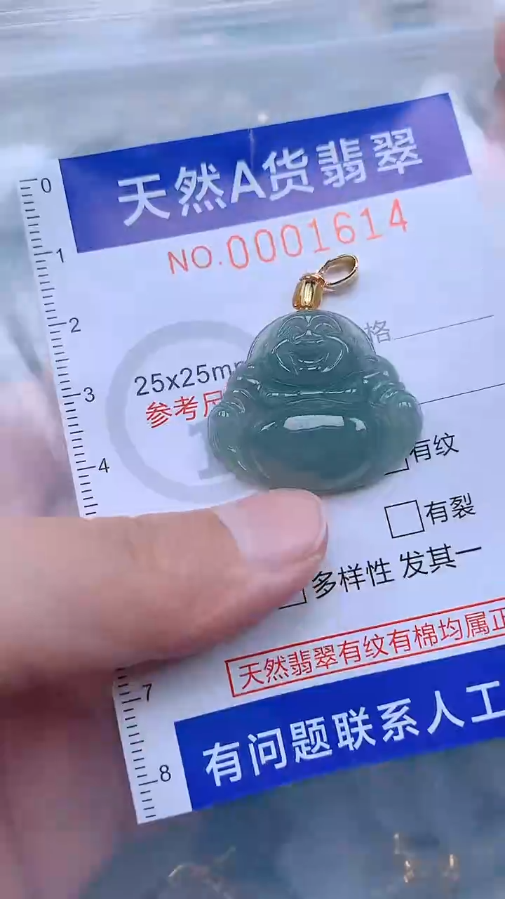 翡翠未镶嵌吊坠(不含链)1