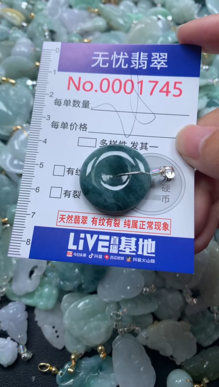 颈饰未镶嵌翡翠1745