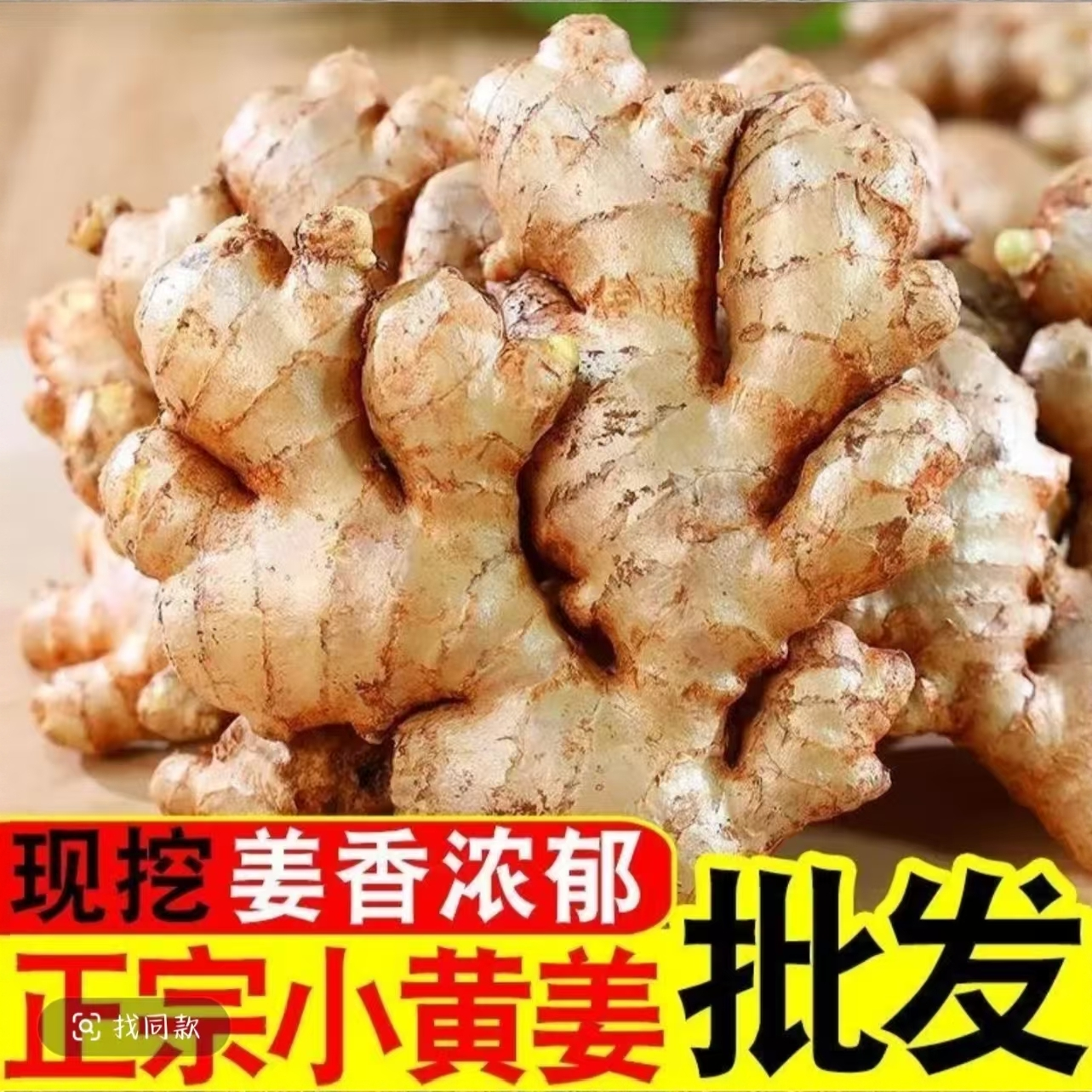 现挖新老姜农家新鲜现挖辛辣十足家庭必备