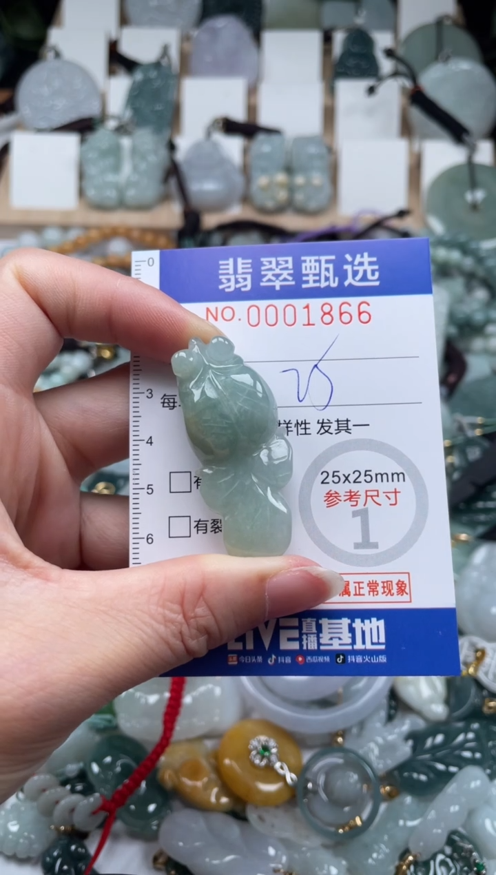 翡翠未镶嵌颈饰00..1866