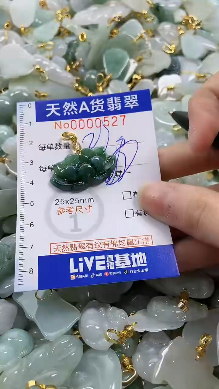 颈饰未镶嵌翡翠纯天然a货翡翠