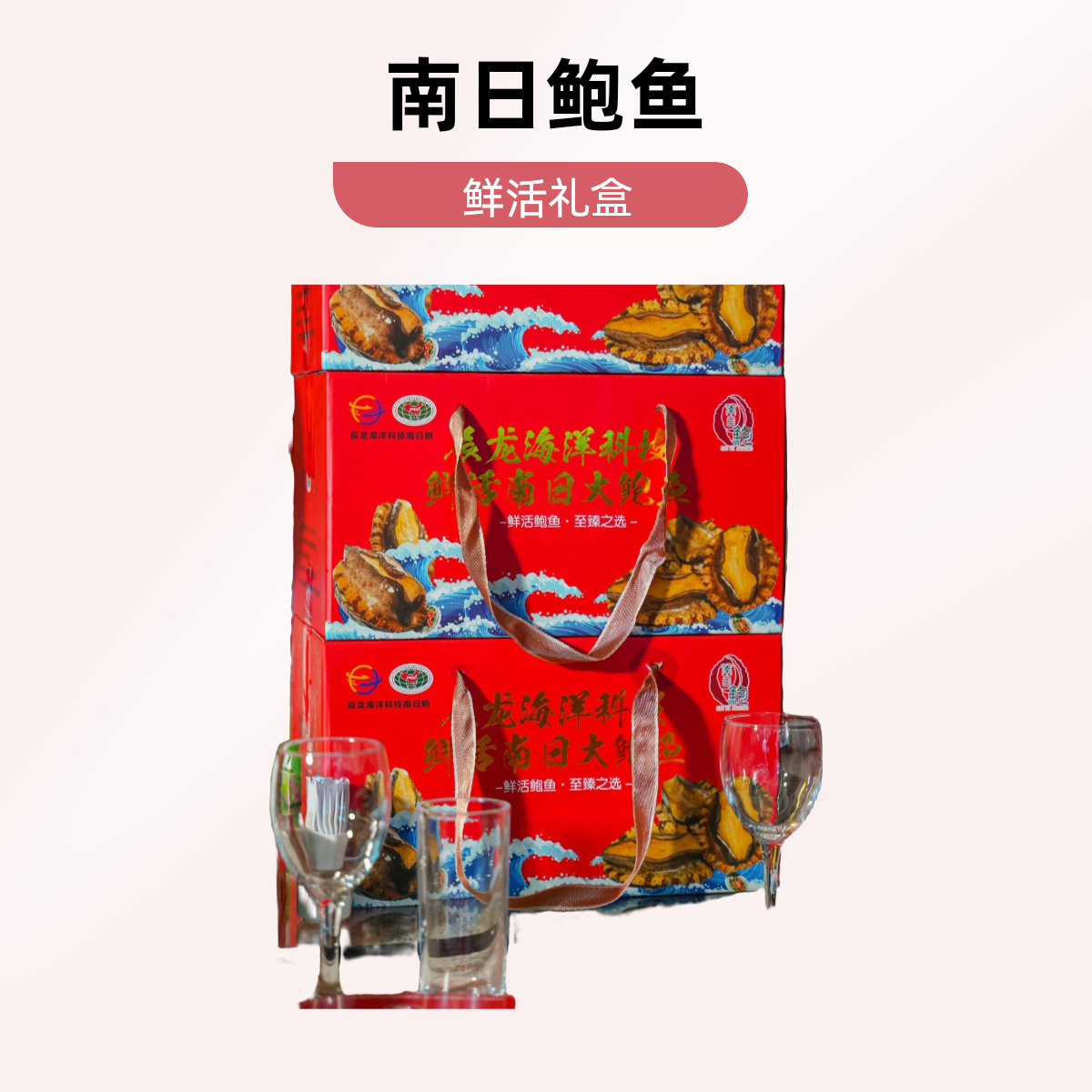【礼盒装5头鲍】鲜活南日鲍南日岛黄金大鲍鱼包活到家