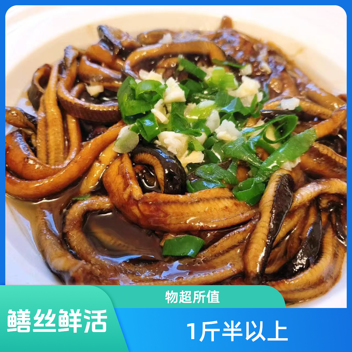 新鲜鳝丝鲜活现划 到手2斤炸鱼