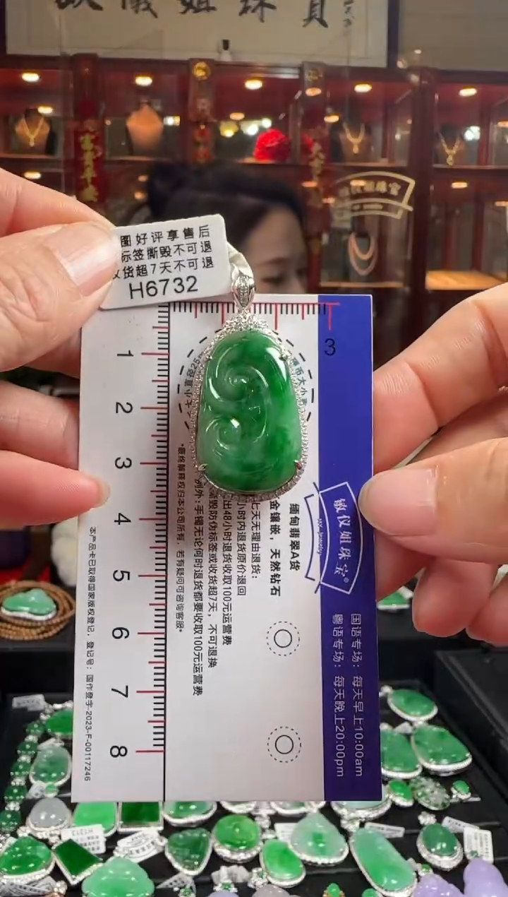 【闪购商品】翡翠颈饰18K金镶嵌H6732辣绿如意