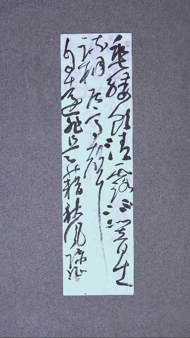 书法 陈征河南南阳 90*25尺寸