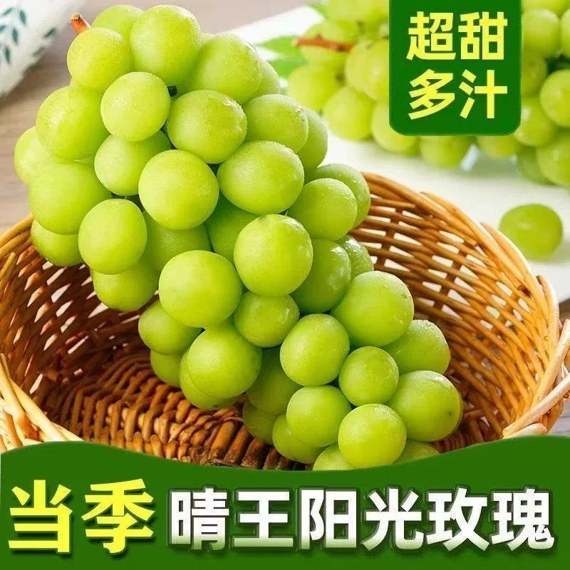 正宗云南阳光玫瑰新鲜采摘葡萄颗颗饱满新鲜水果香甜多汁