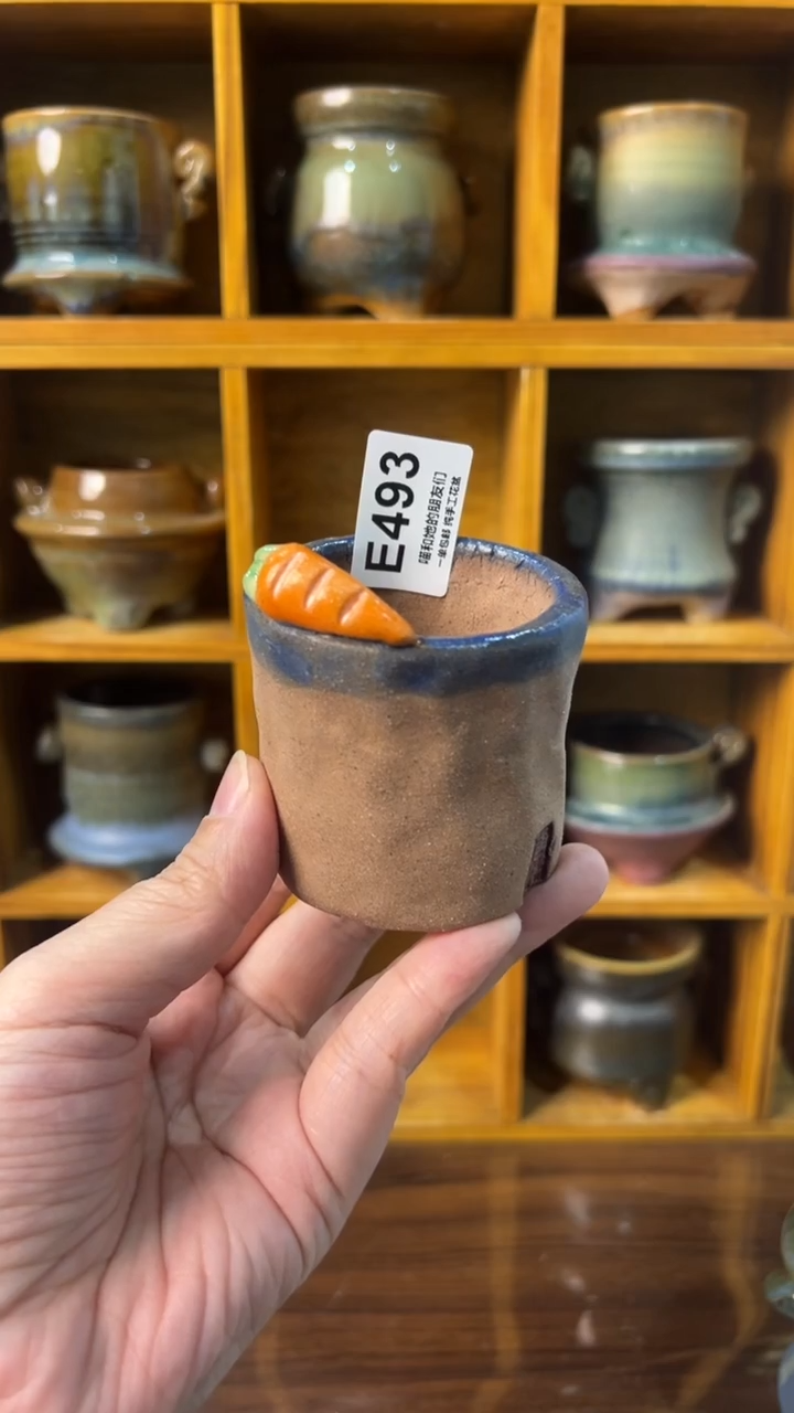 493 内口5【多肉花盆多肉盆】