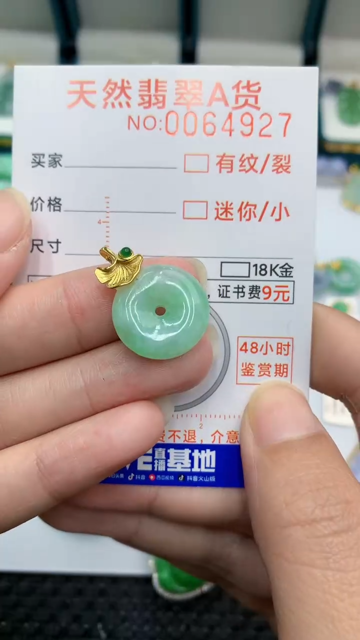 【闪购商品】翡翠颈饰银S925镶嵌            8