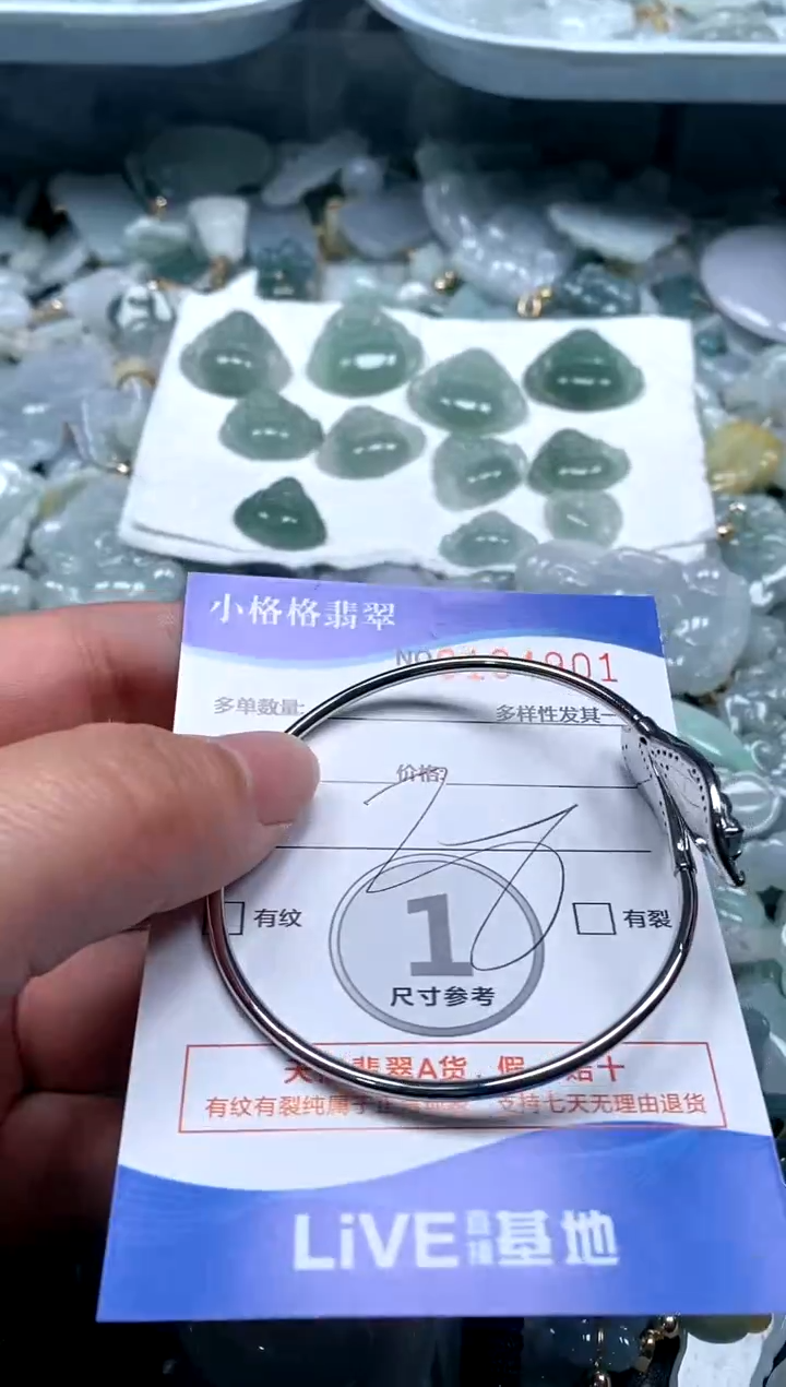 【闪购商品】翡翠颈饰未镶嵌闪购商品0194901