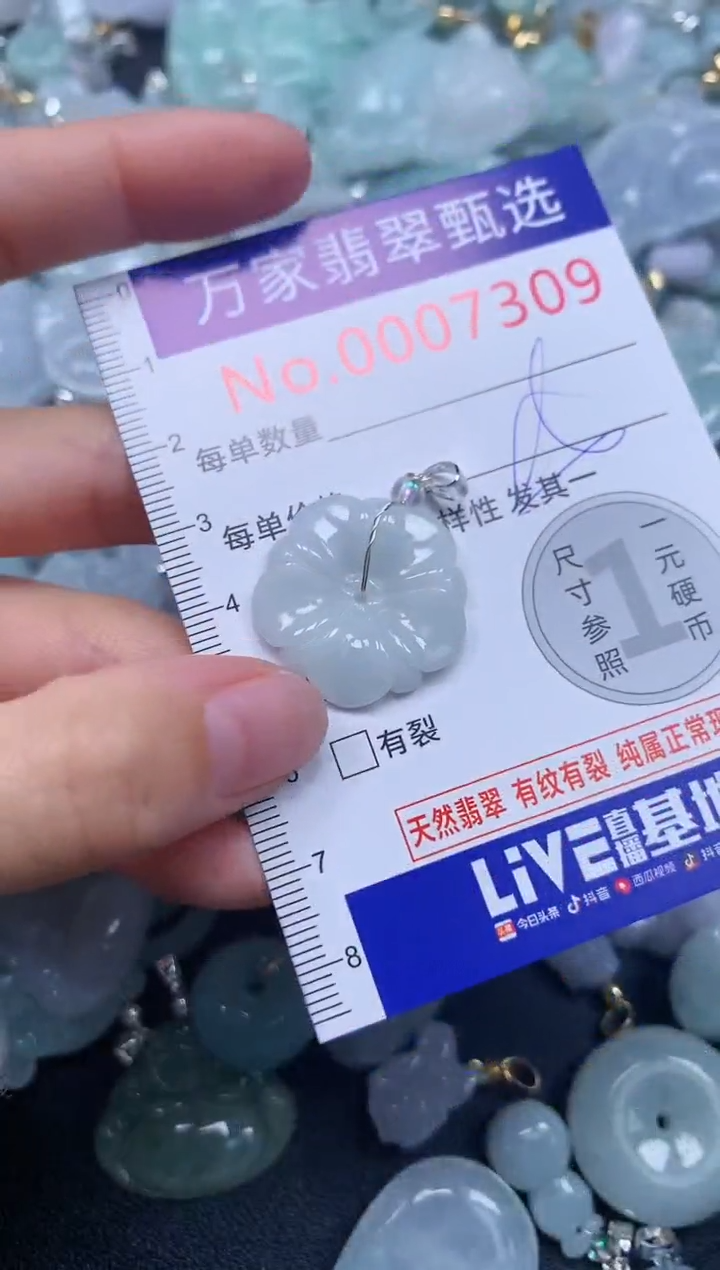 吊坠(不含链)未镶嵌翡翠7309
