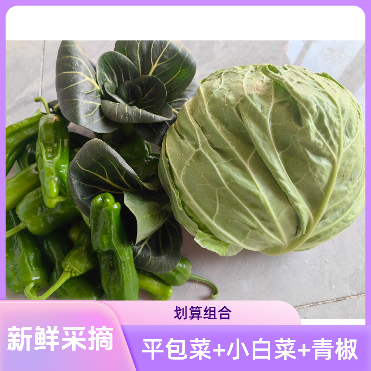 湖北孝感平头包菜小白菜青椒组合装新鲜采摘不泡水实惠装