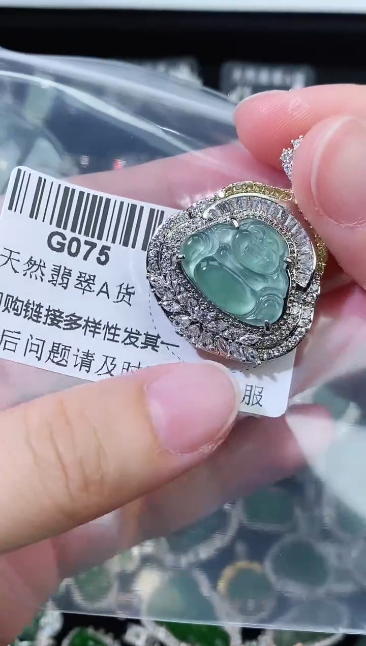 翡翠未镶嵌颈饰精美翡翠-多样性只发一件G075