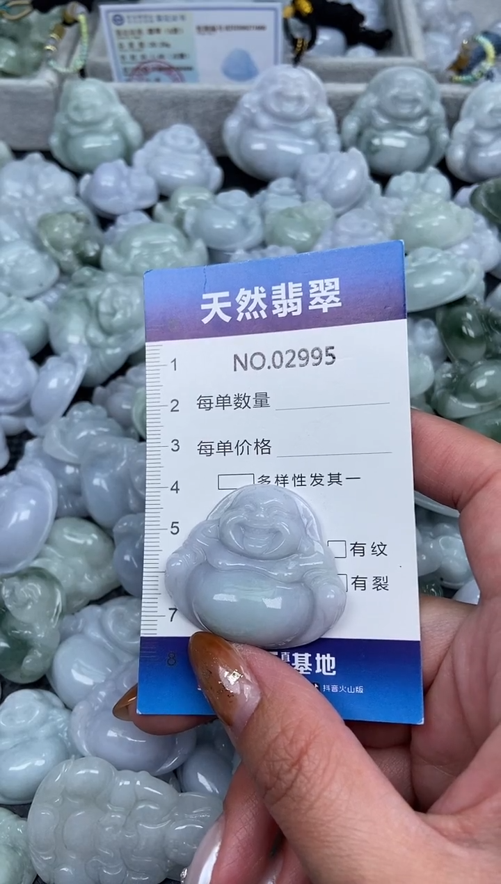 颈饰未镶嵌翡翠纯天然A货缅翡2995