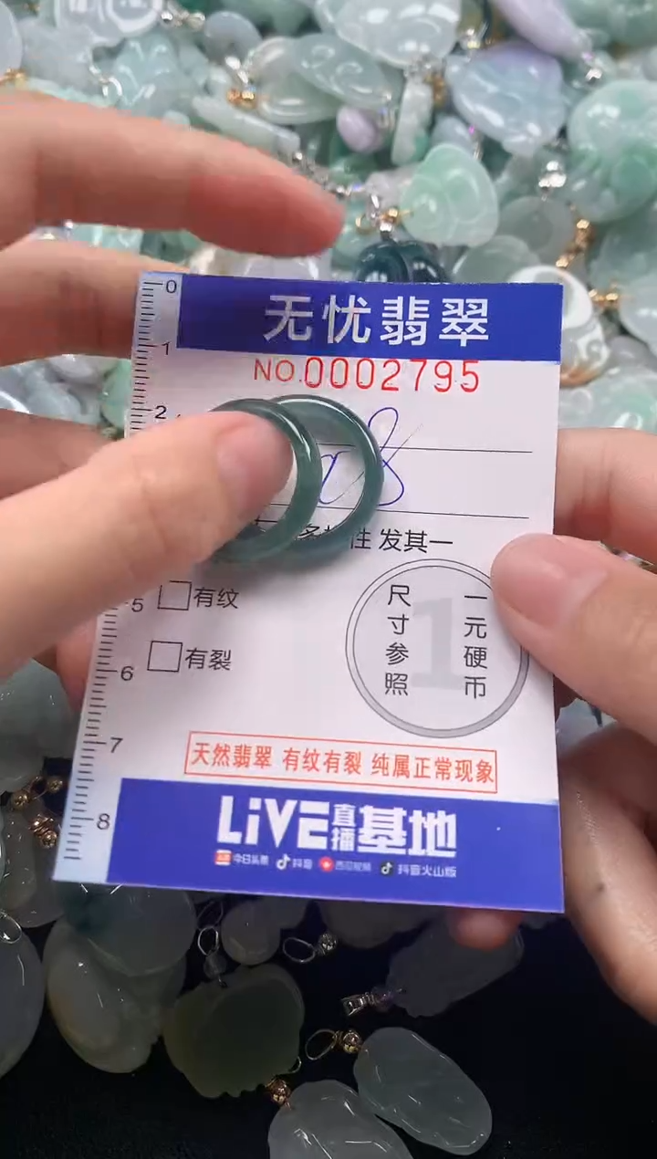 颈饰未镶嵌翡翠2795