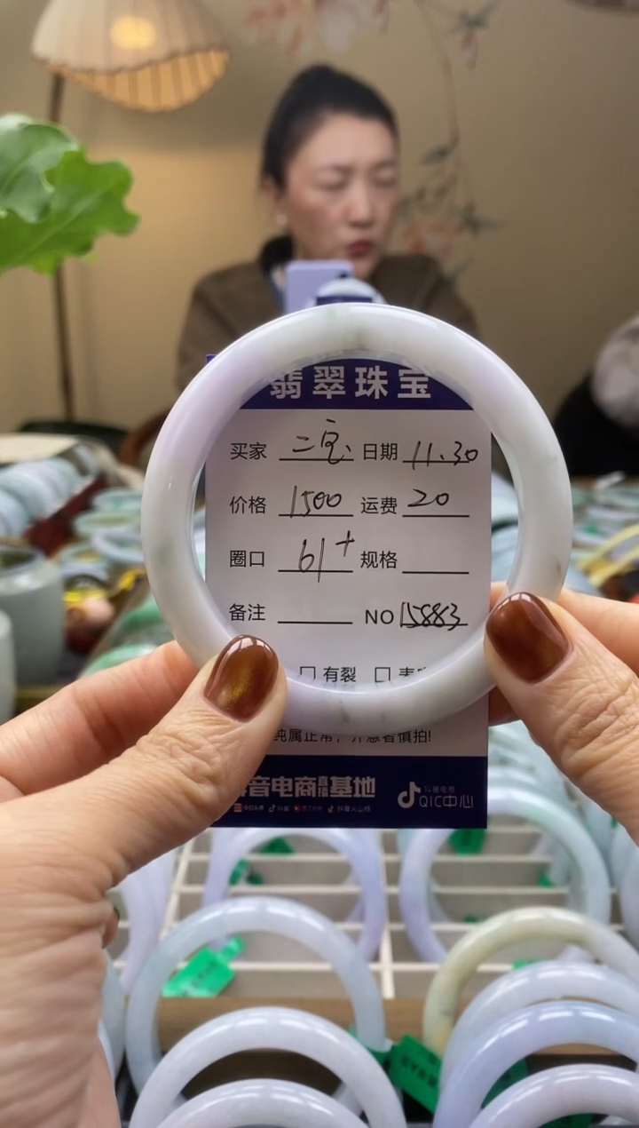 未镶嵌手镯翡翠家**宝00015883