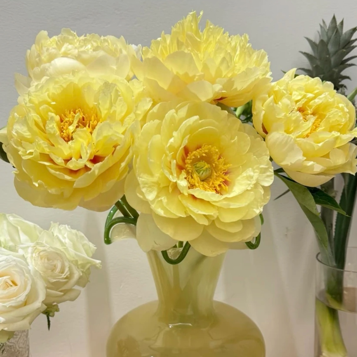 【高定鲜花·花神芍药】芭茨拉 巨香 满屋飘香 一年只开一季 五支