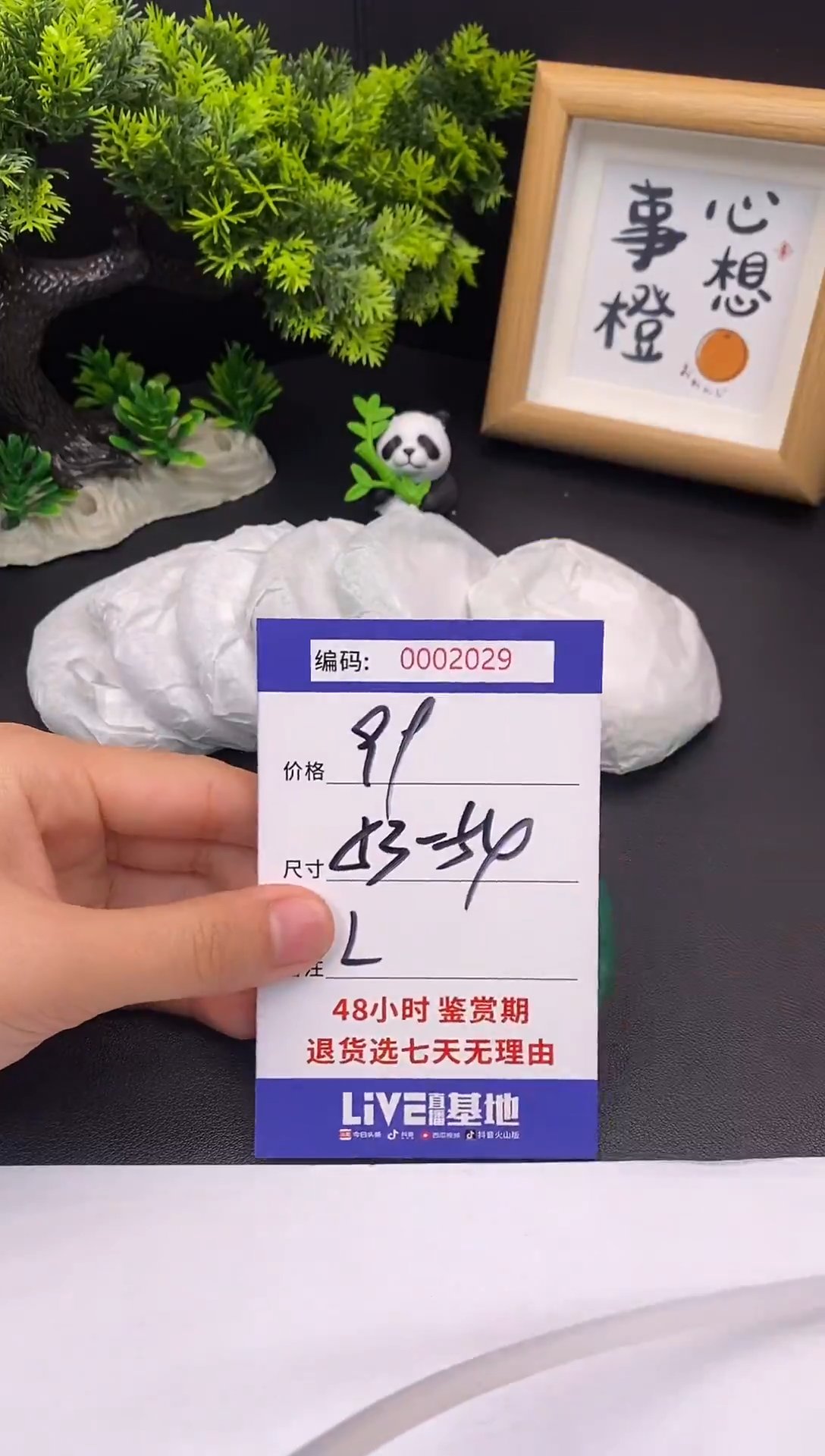 未镶嵌手镯翡翠0002029