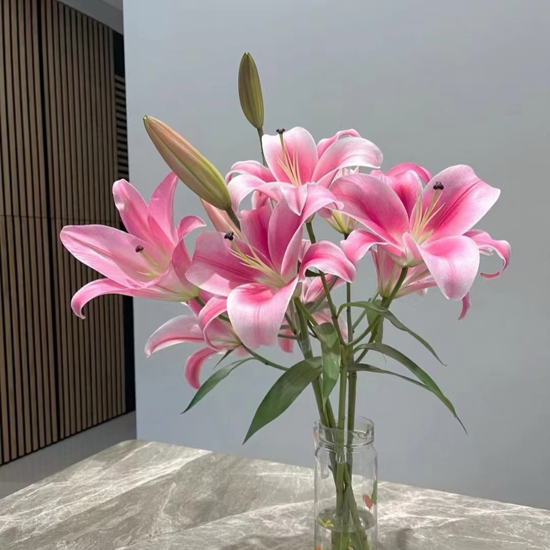 【百合鲜花 北京延庆产地直发】5支 15-22朵花多种颜色随机不可备注