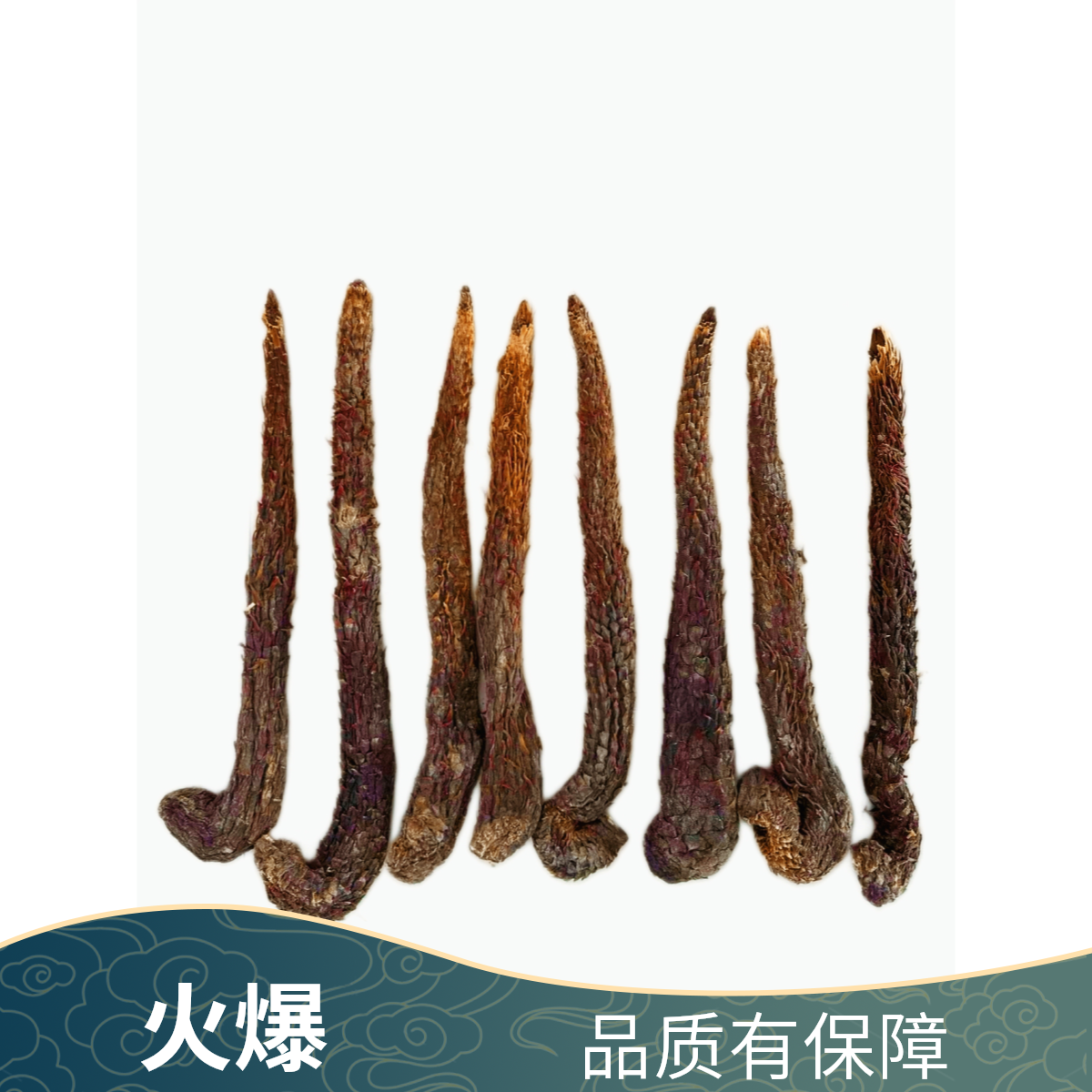 智宙（R）肉苁蓉内蒙古发货整根正品切片阿拉善中药材