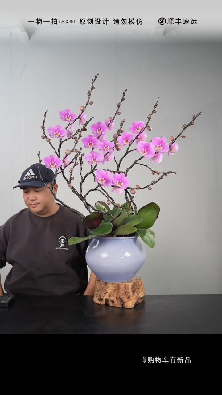 【闪购商品】031号链接【一物一拍】艺术盆景