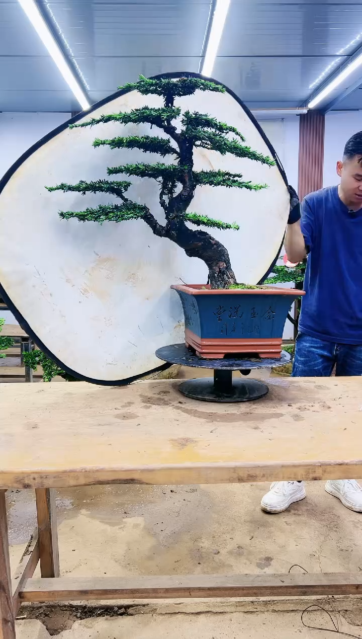 00000000000000000000