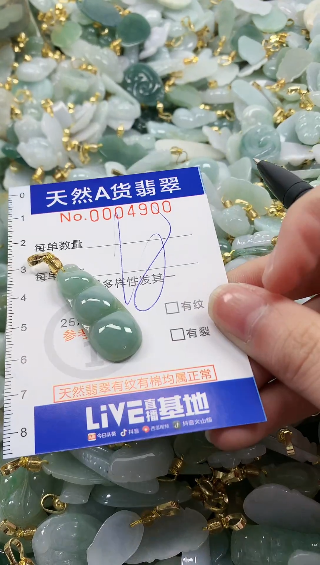 颈饰未镶嵌翡翠纯天然a货翡翠