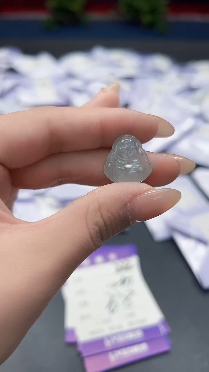翡翠未镶嵌颈饰高端甄选（一物一图）222