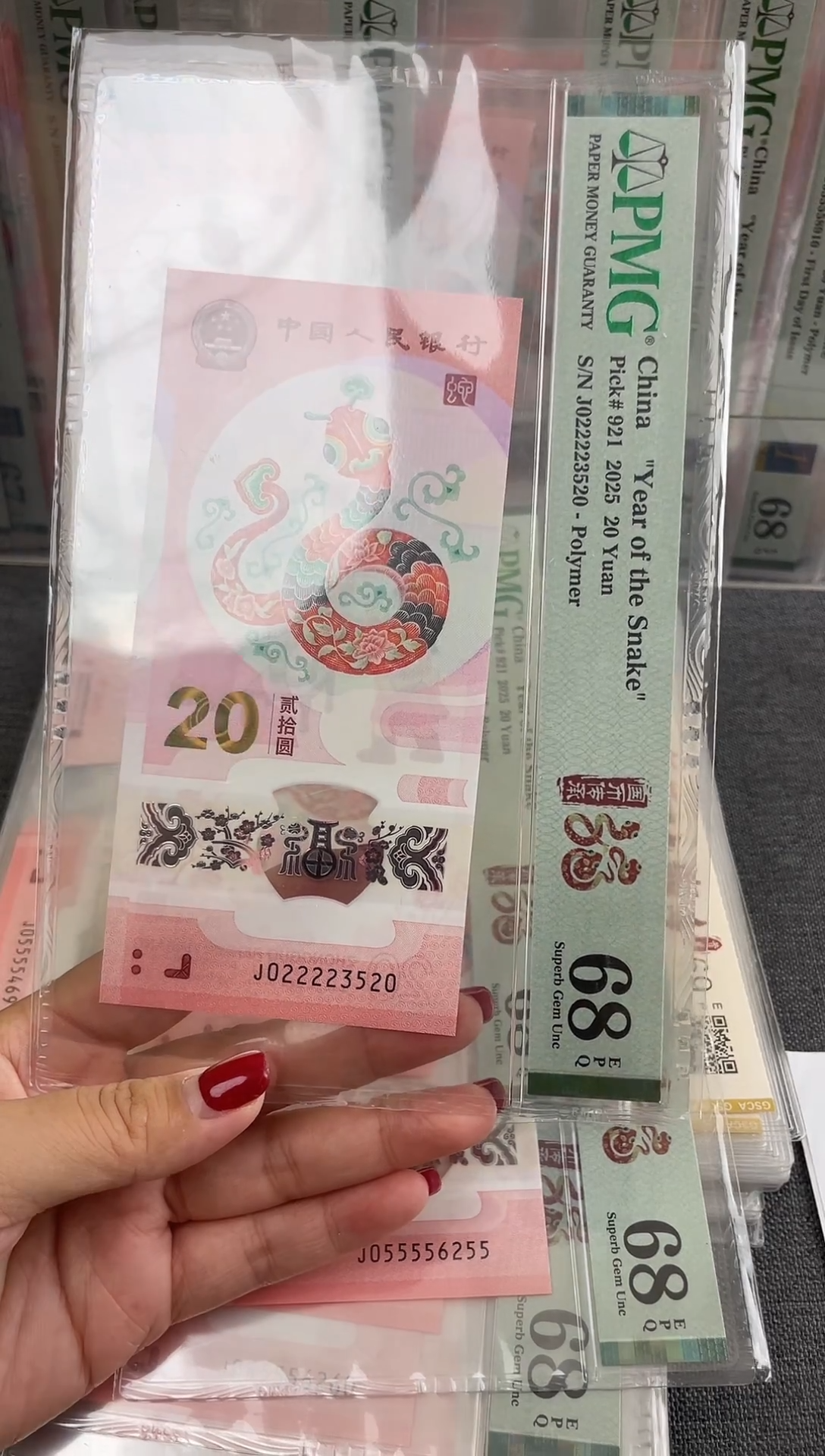 塑料蛇钞PMG022223520福利t