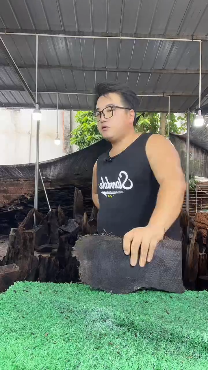 金丝楠小叶桢楠252