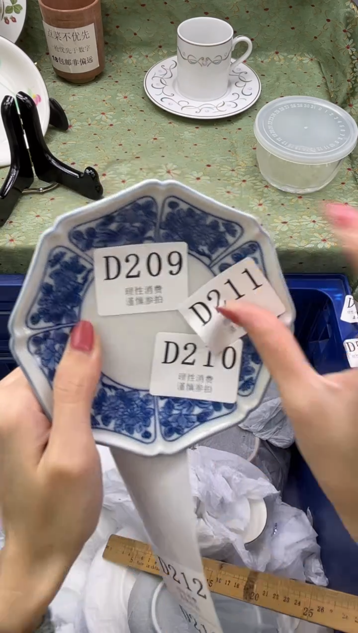 瓷片朵***_       D210
