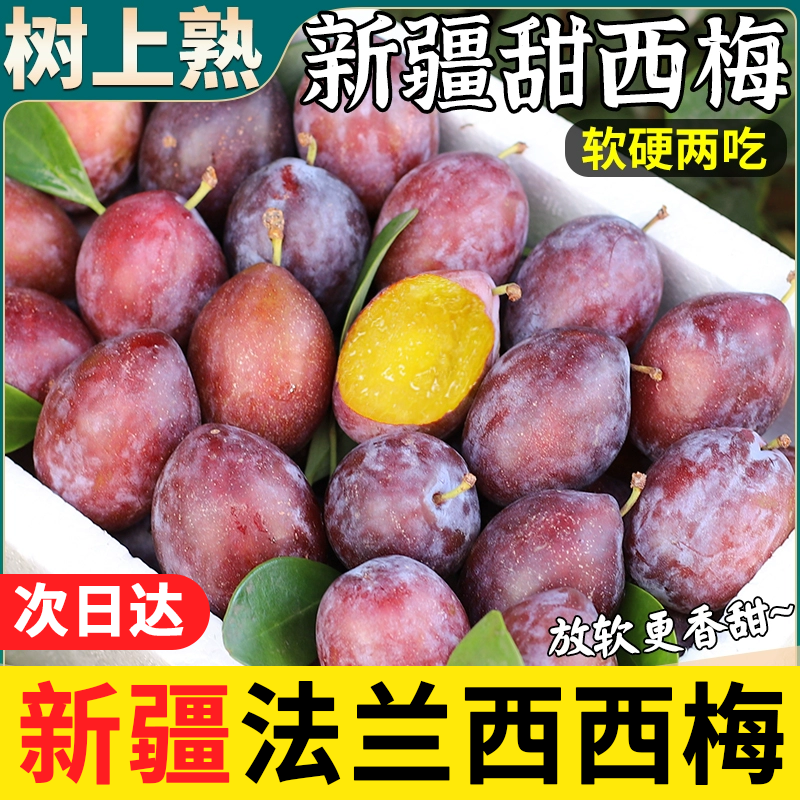 日XG正宗新疆喀什伽师西梅【顺丰次日达】新鲜现摘现 软后吃香甜多汁当季水果新疆空运【小郭】新疆维吾尔自治区
