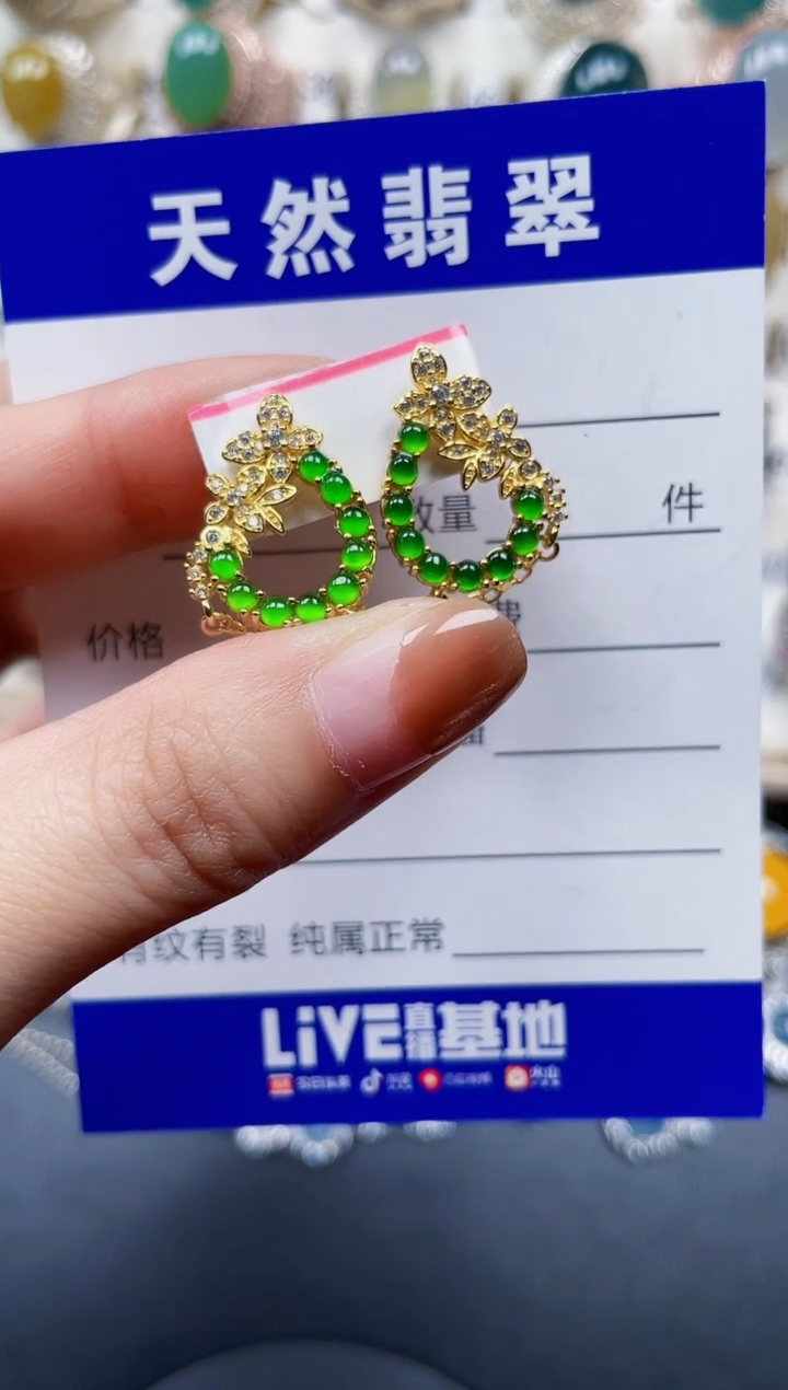 银S925镶嵌翡翠耳饰173
