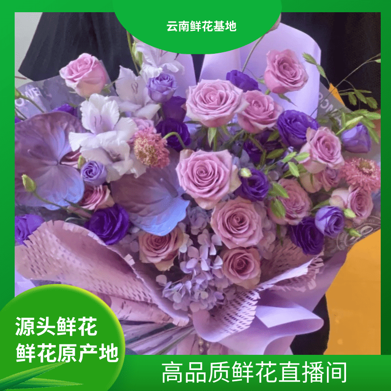 颜花【紫霞+单瓣紫罗兰】  任意两单鲜花升级顺丰冷链
