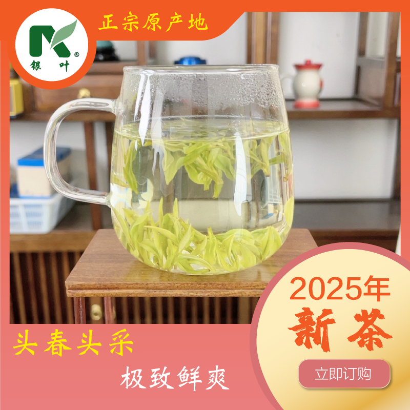 【 白茶 1080 】正宗特级安吉产地厂家安吉原产地白茶2025新茶叶