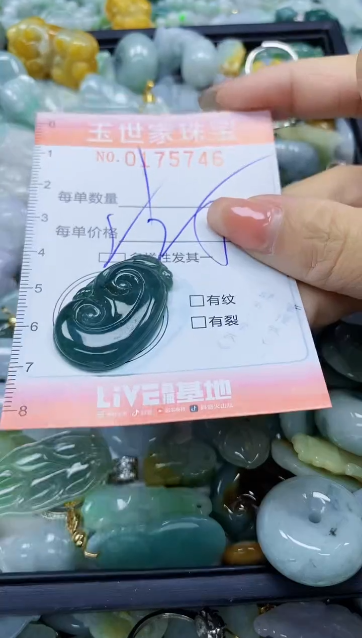 【闪购商品】翡翠颈饰未镶嵌闪购商品00175746多样性发其一