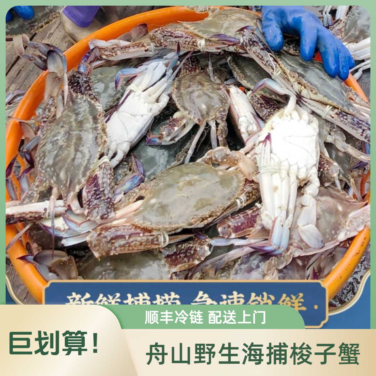 【冻蟹】舟山野生海捕梭子蟹 二母蟹 小娘蟹 净重3斤/箱 2-3两/只 到手10-12只