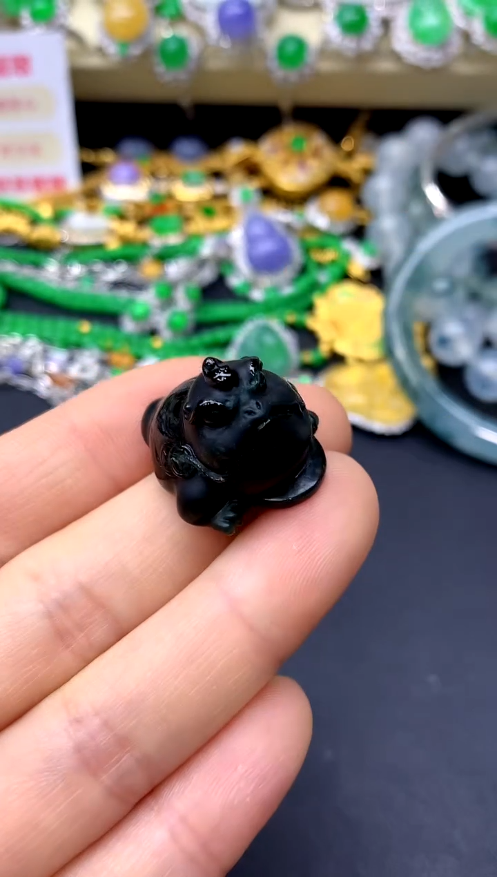 颈饰未镶嵌翡翠317-中国好珍宝