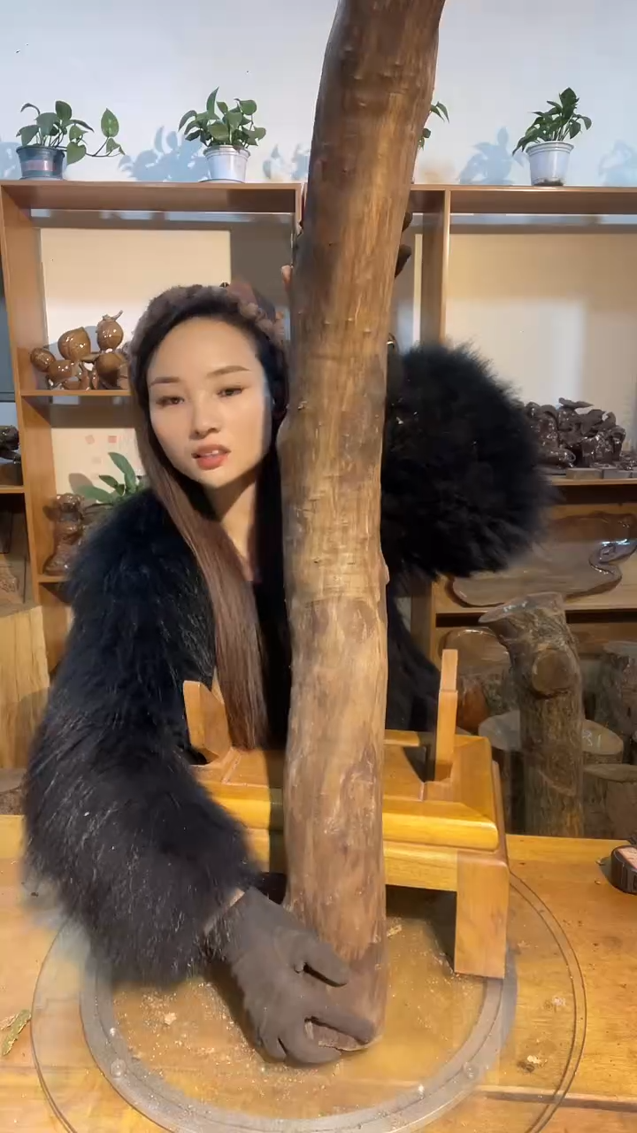 阿祥金丝楠木闪购链接