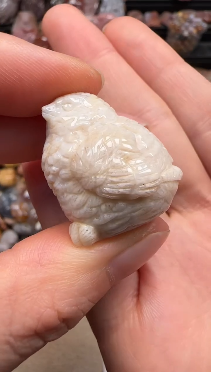 【闪购商品】硅化珊瑚（珊瑚玉）颈饰未镶嵌611