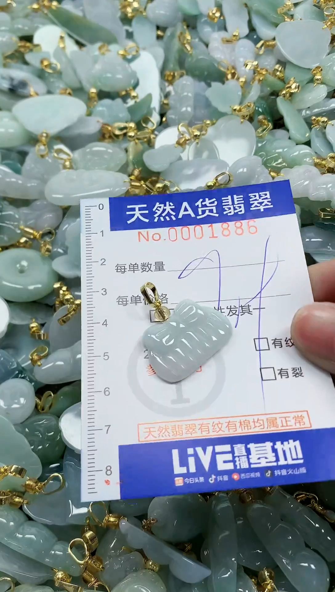 颈饰未镶嵌翡翠纯天然a货翡翠